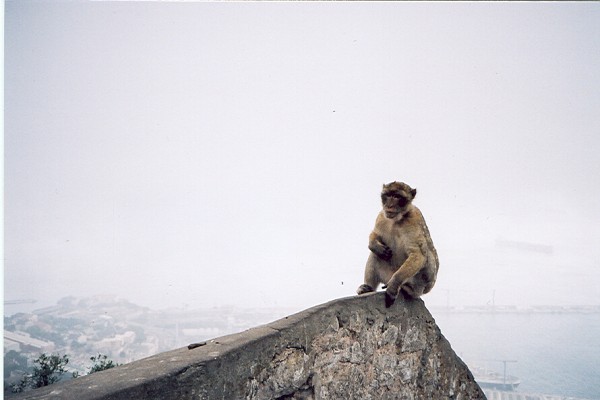 Vlakem na Gibraltar 2004